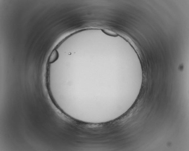 X0000116291147201001111051