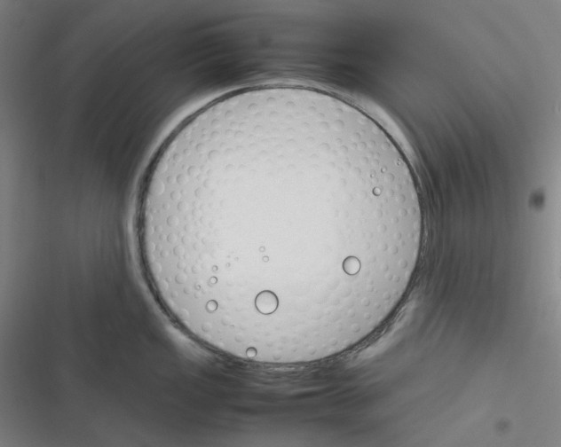 X0000116291149201001111051