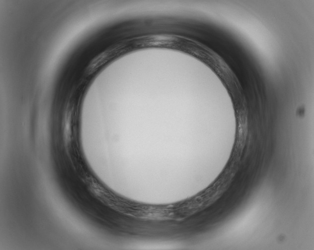 X0000116291150201001111051