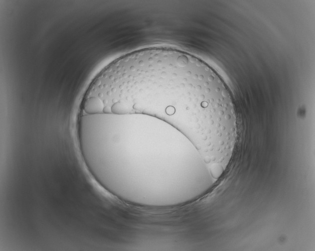 X0000116291151201001111051