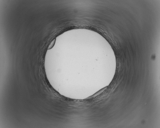 X0000116291153201001111050