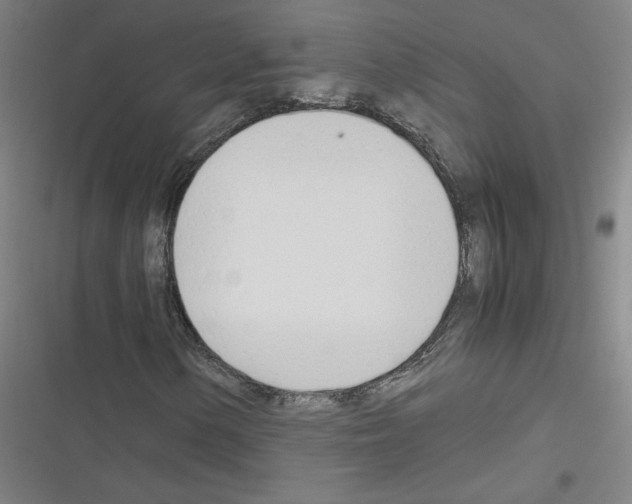 X0000116291154201001111050