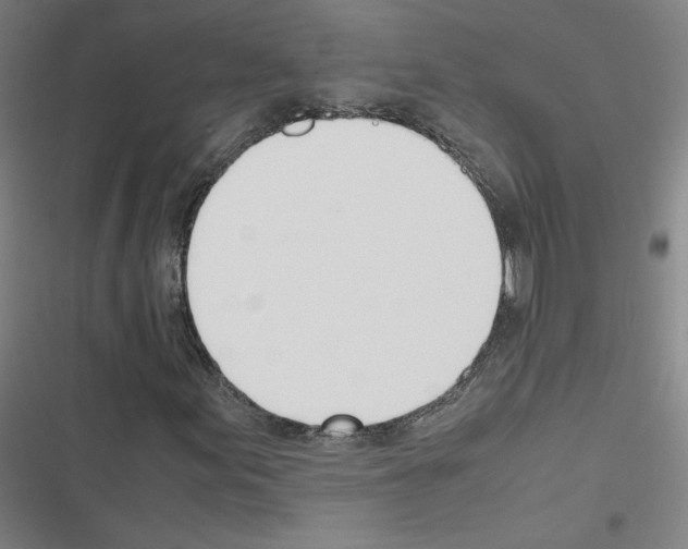 X0000116291155201001111050