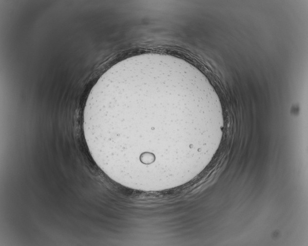 X0000116291156201001111050