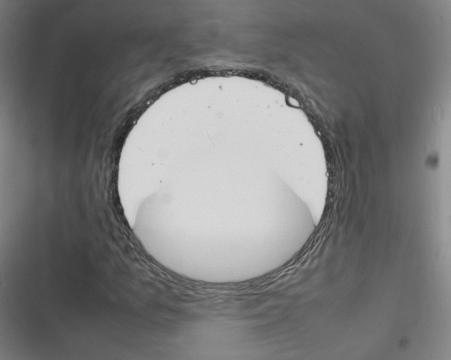 X0000116291157201001111050