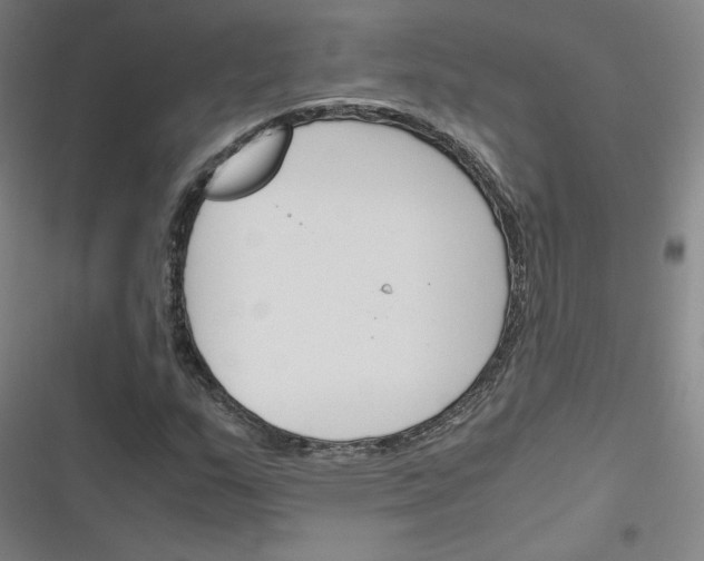 X0000116291159201001111050