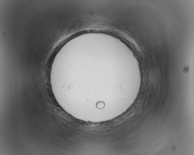 X0000116291160201001111050