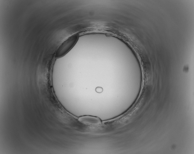 X0000116291161201001111050