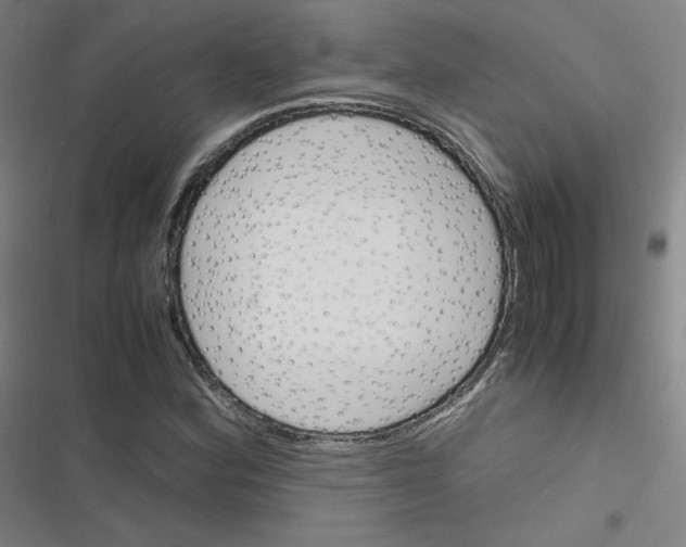 X0000116291164201001111050