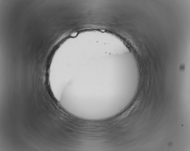 X0000116291165201001111050