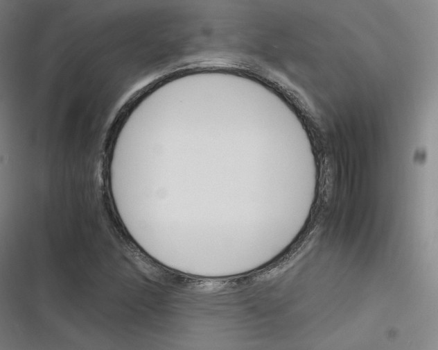 X0000116291166201001111050