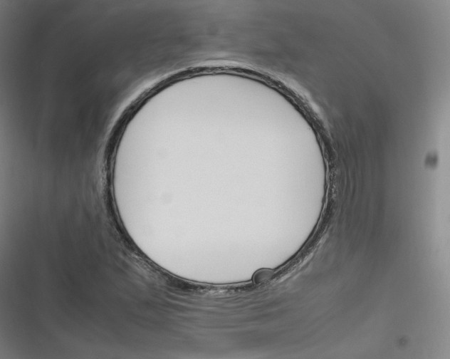 X0000116291167201001111050