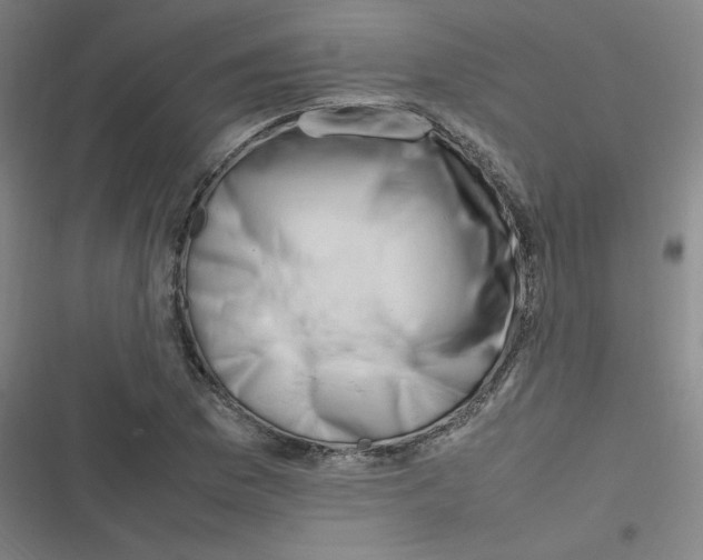 X0000116291169201001111050