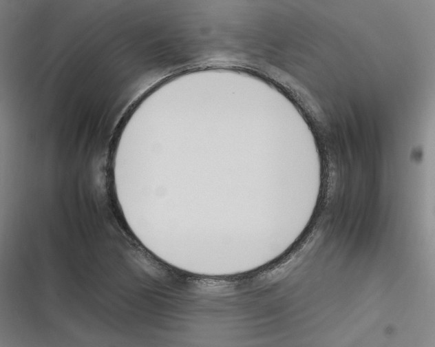 X0000116291170201001111050