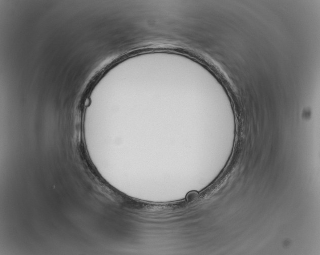 X0000116291171201001111050