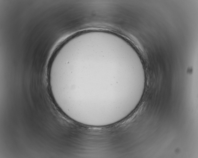 X0000116291172201001111050