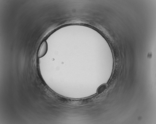 X0000116291173201001111050