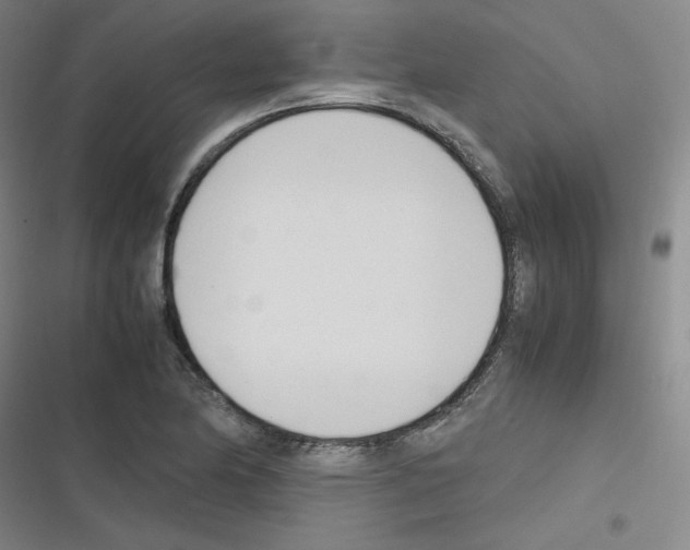 X0000116291174201001111050