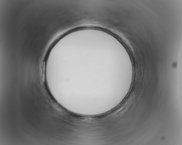 X0000116291175201001111050