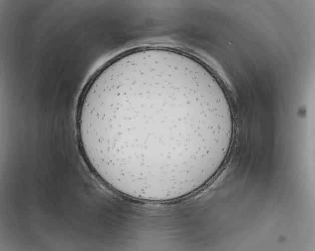 X0000116291176201001111050