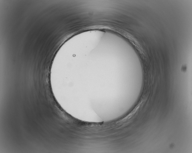 X0000116291177201001111050