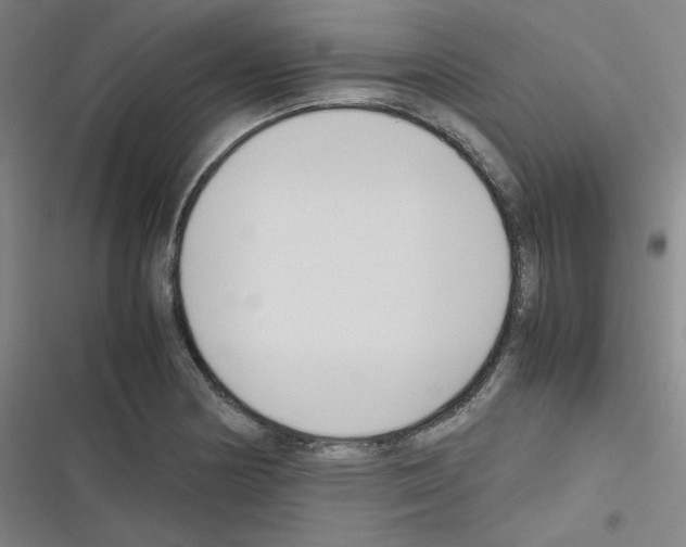 X0000116291178201001111050