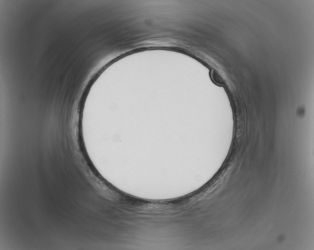 X0000116291179201001111050