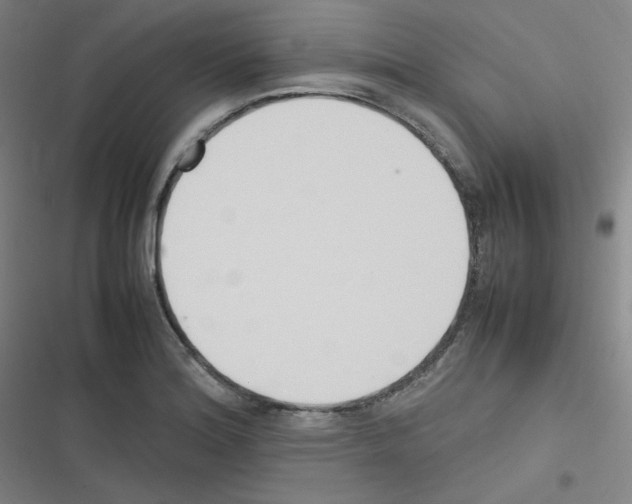 X0000116291180201001111050