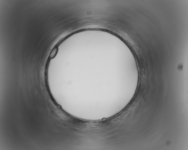 X0000116291181201001111050