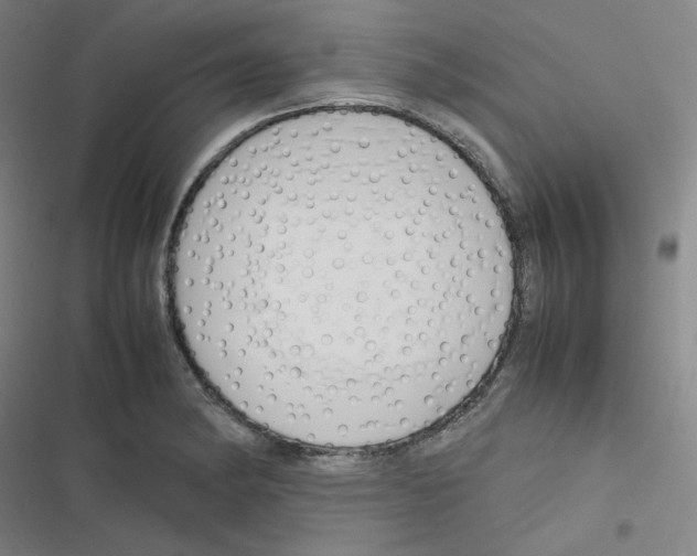 X0000116291182201001111050