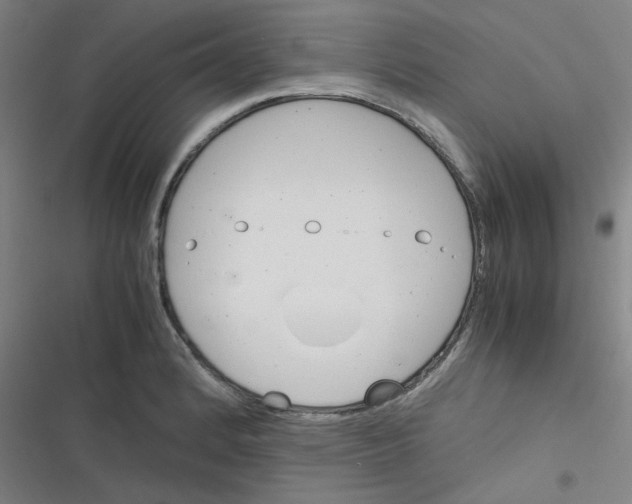 X0000116291184201001111050