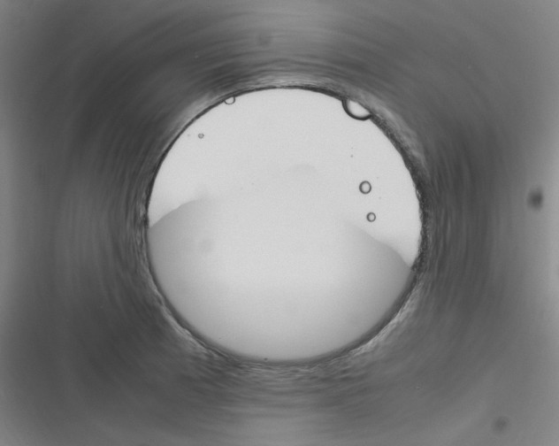 X0000116291185201001111050