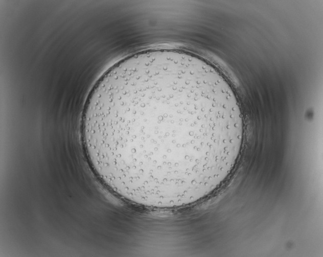 X0000116291186201001111050