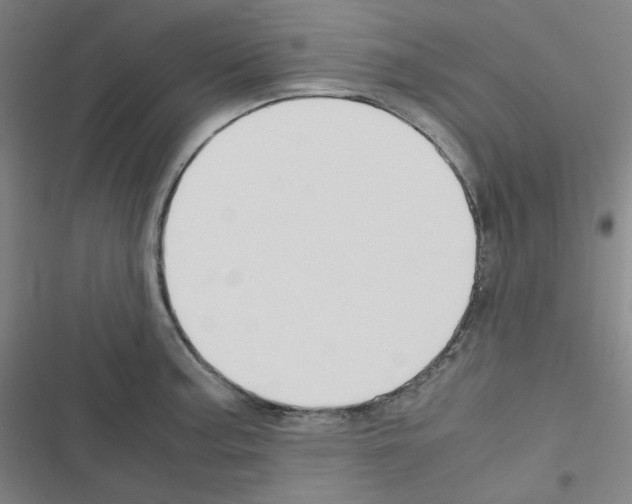 X0000116291187201001111050