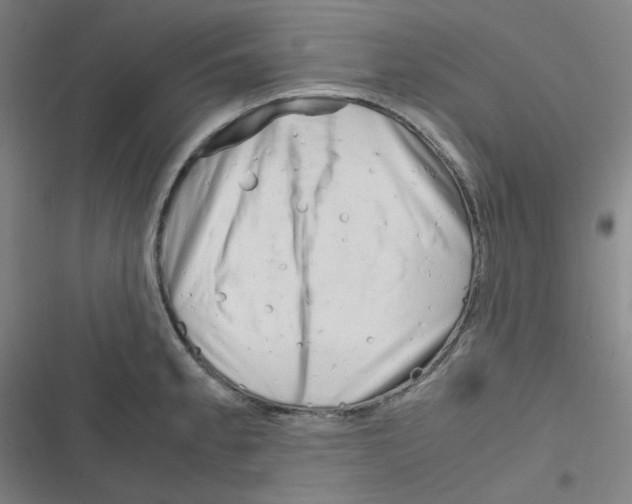 X0000116291189201001111050