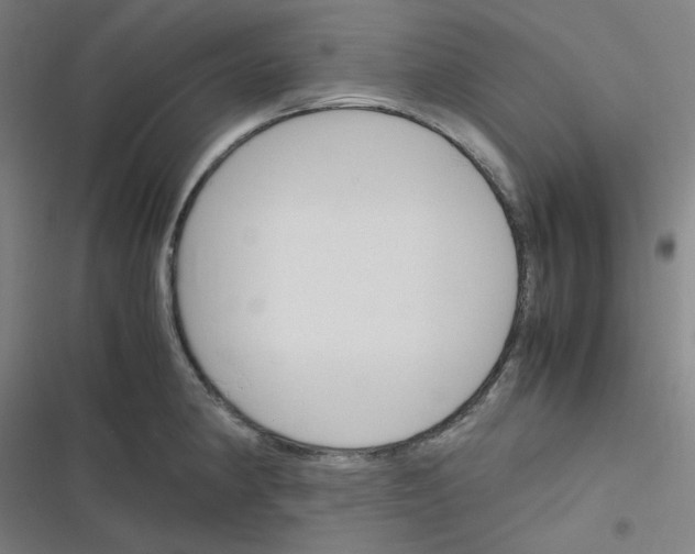 X0000116291190201001111050