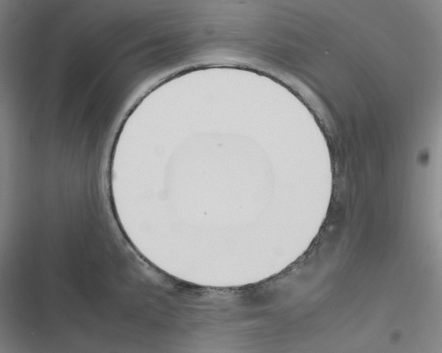 X0000116291191201001111050