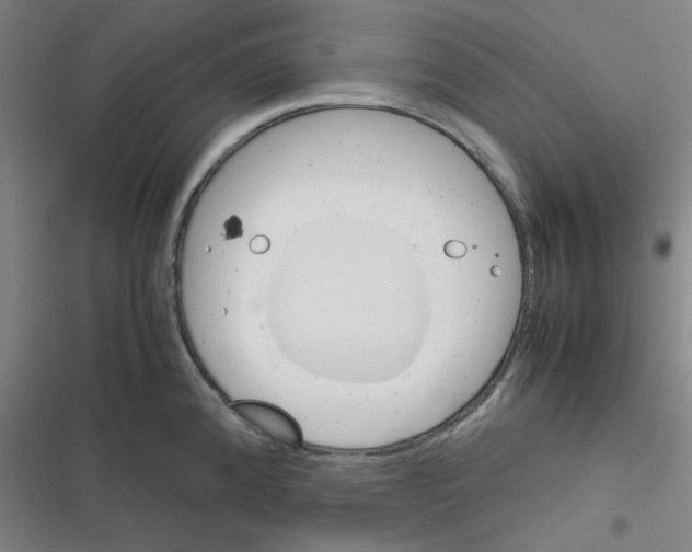 X0000116291192201001111050