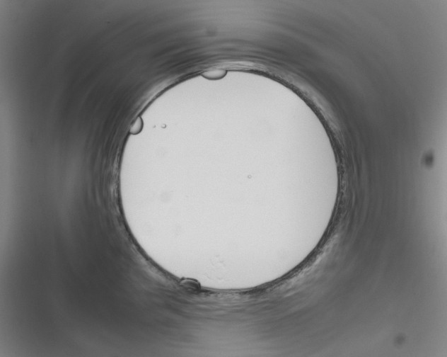 X0000116291193201001111050