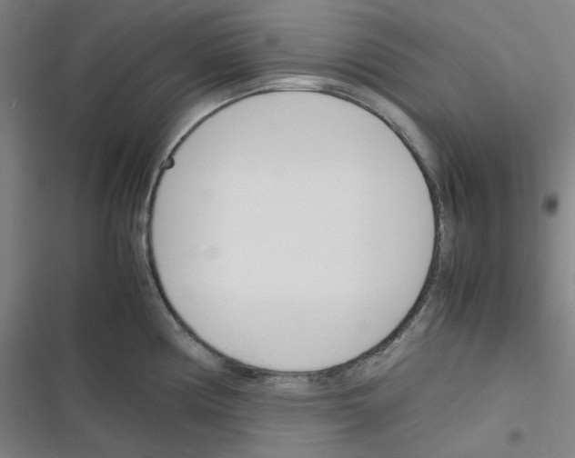 X0000116291194201001111050