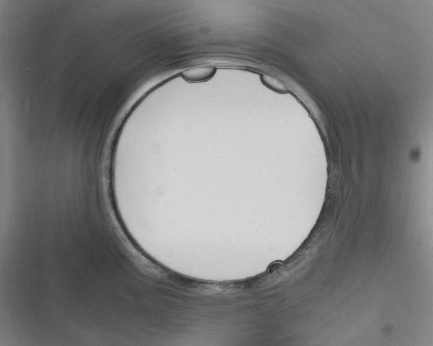 X0000116291195201001111050