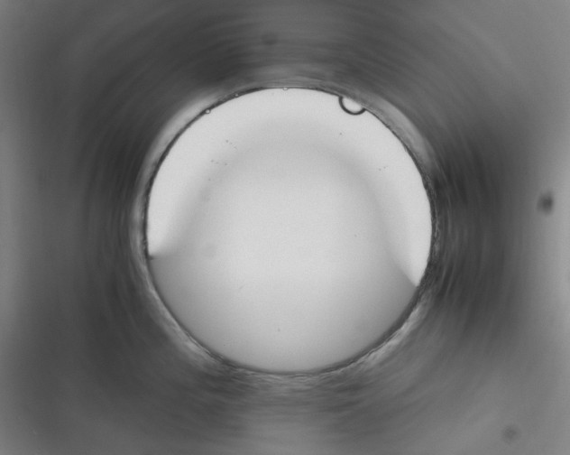 X0000116291196201001111050