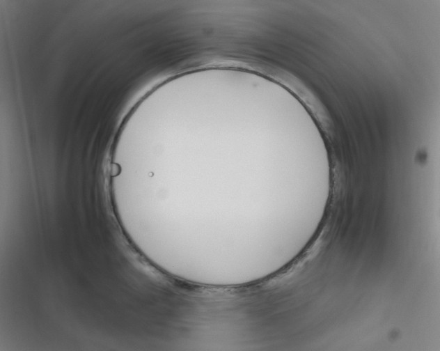 X0000116291198201001111050