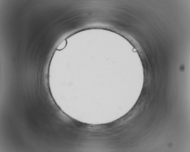 X0000116291199201001111050