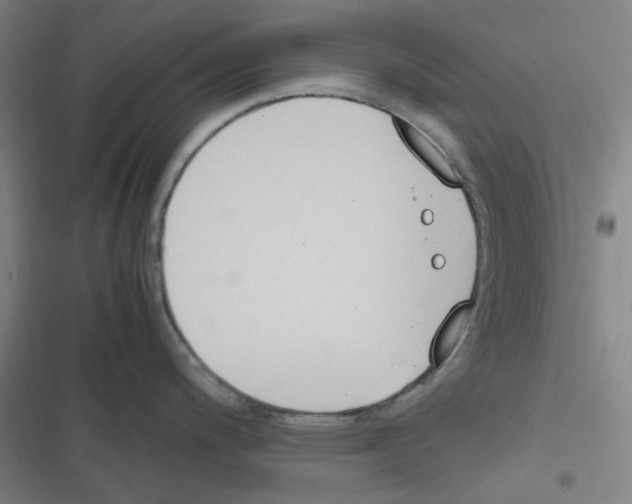 X0000116291200201001111050