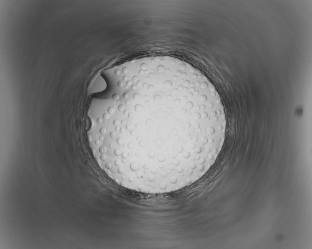 X0000116291201201001111049