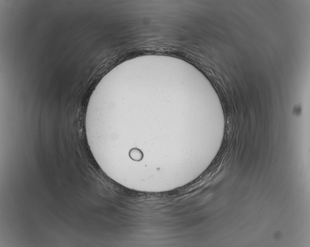 X0000116291202201001111049