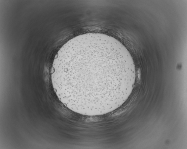 X0000116291203201001111049