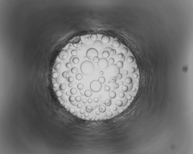 X0000116291205201001111049