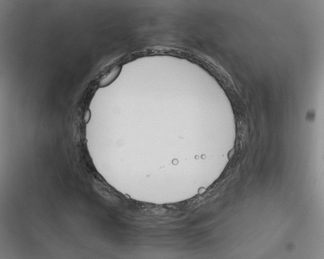 X0000116291207201001111049